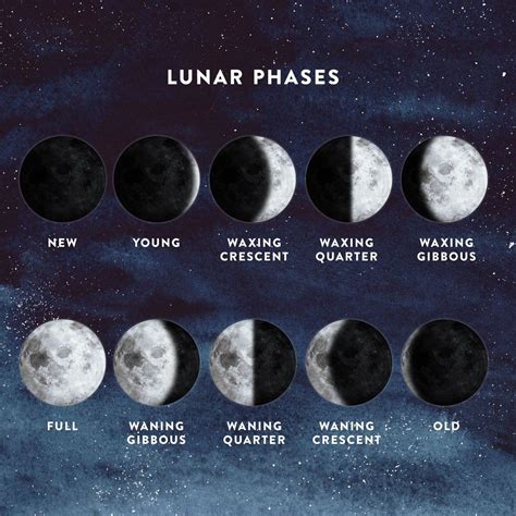 Moon Phases Calendar. This moon phases calendar tool or moon schedule is an easy way to find out the lunar phase for any given month. Simply select a month and year, and click "Go", and it will show you what the moon will look like for any day that month. The internal phase calculator is very accurate, but the images are approximations. 